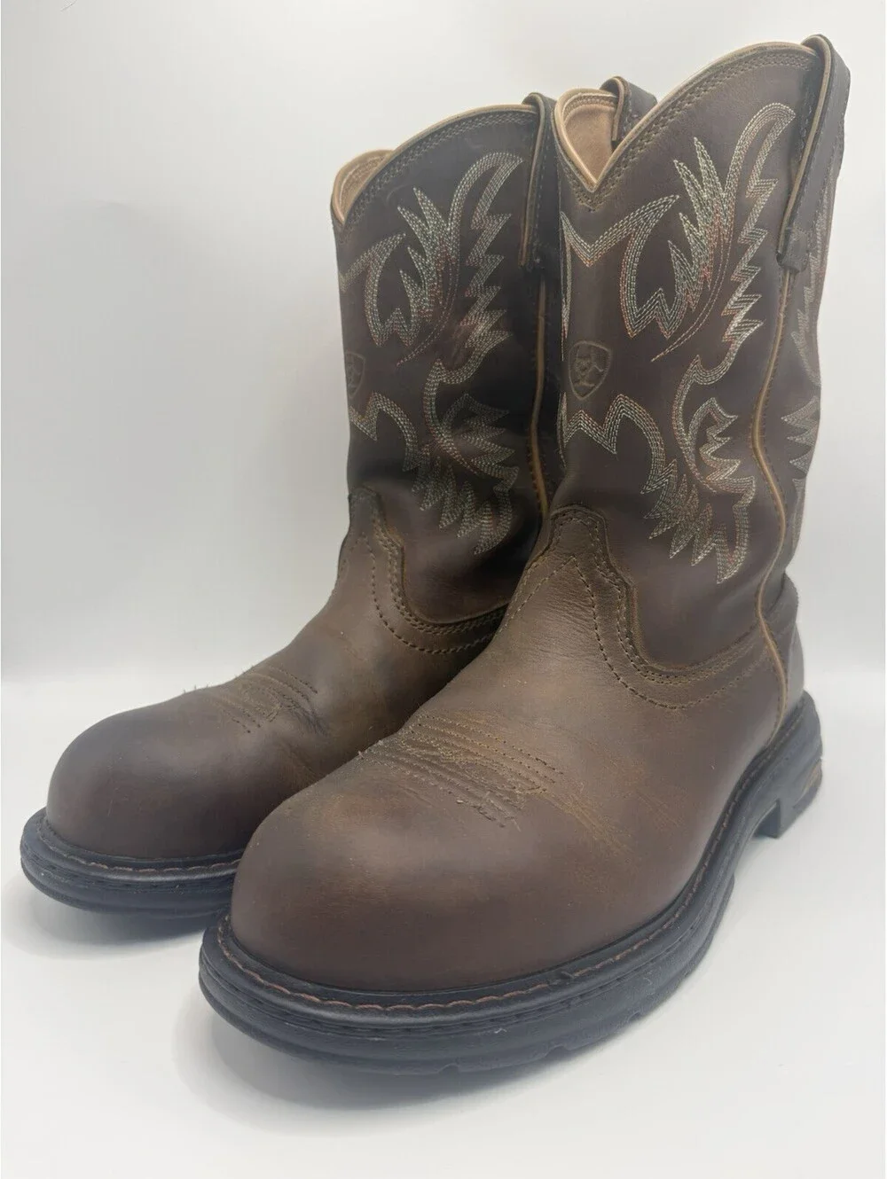 Ariat Men's 10